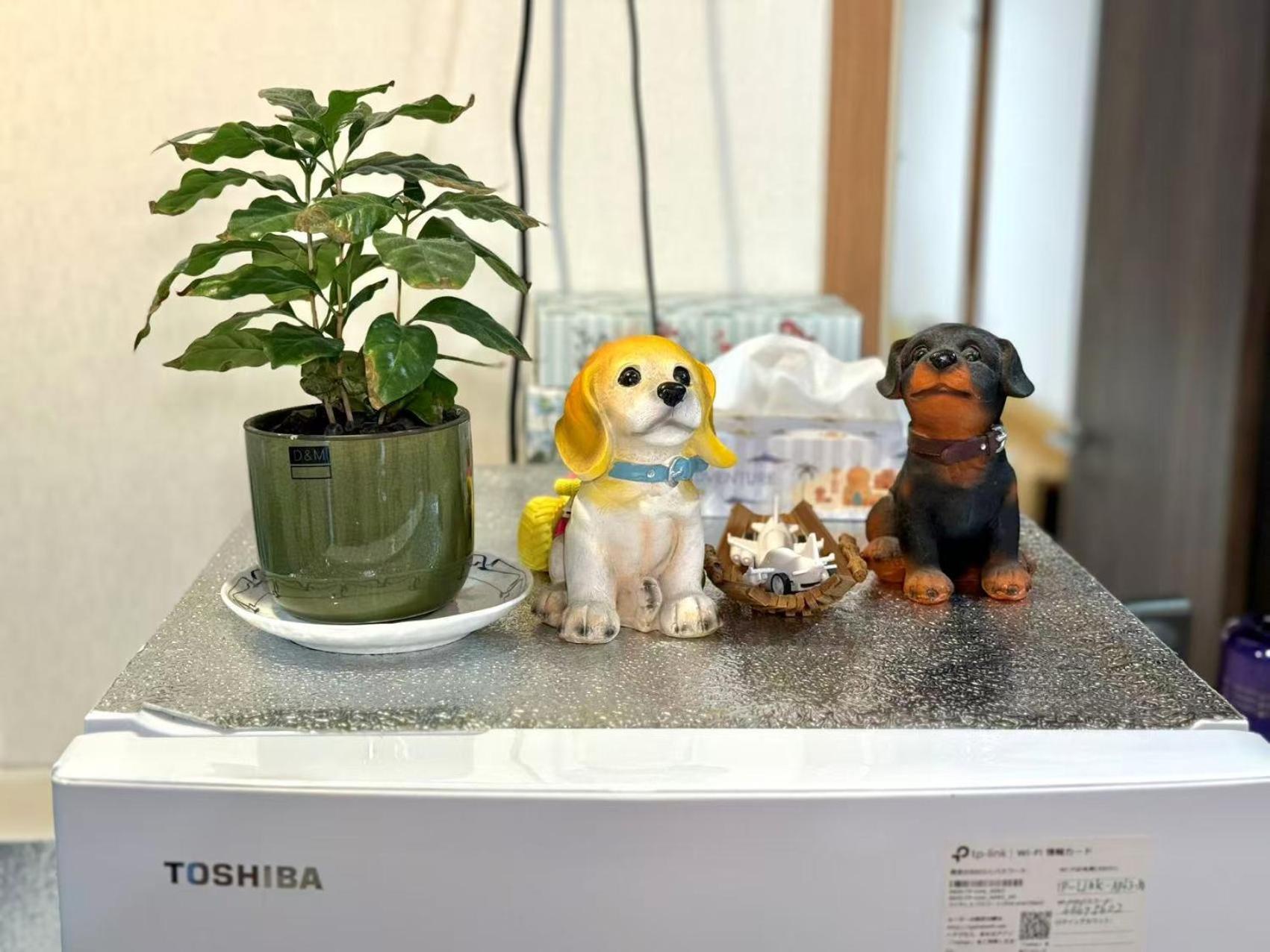 Сasa de vacaciones 一戸建民泊 St-ar House 東京星宿 Tokio